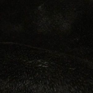 Meet your Posher, Vikram